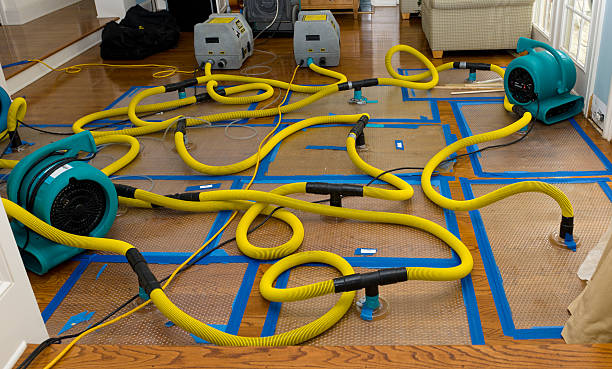 Professional Water Damage Repair technician working in Columbia, IL